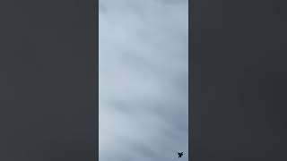 Newcastle Supercars RAAF Flyover 12/3/23