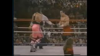 The Hart Foundation VS The British Bulldogs 11/29/86 #HartFoundation #BritishBulldogs