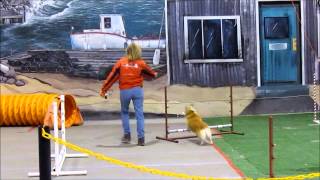 K9 Kapers @ the Pet Expo