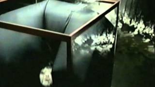 Jeri Slaughter Choreography reel sometime in 2004-2006