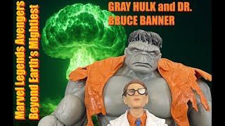 Marvel Legends Avengers Beyond Earth's Mightiest  GRAY HULK and DR  BRUCE BANNER