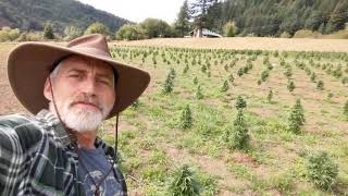 The End of Our Pandemic Adventure? Or Just The Beginning On Elk River Ranch Hemp Farm #CBG #CBD