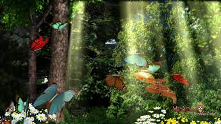 Nhạc Relax buổi sáng