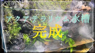 #4 60cm水槽完成まで【アクアテラリウム】