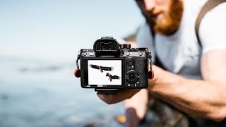 Photographing eagles around our cabin in Norway.