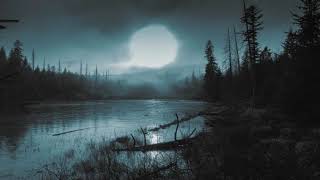 1 Hour of Swamp Ambience with Frog and Cricket Sounds