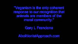 Pt 8 Talking With Non-Vegans About Veganism: 5 Principles