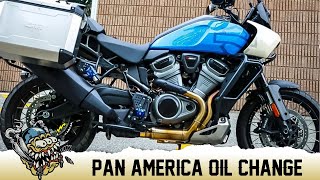 Harley Pan America Oil Change - DeadbeatCustoms.com