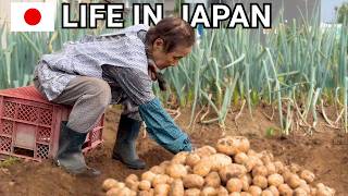 【Living Alone in the Countryside】A Day in the Life of 93 y/o Grandma Kinoe | Japanese home garden