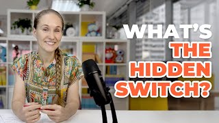 What's The Hidden Switch by Ashley Dudarenok?
