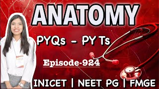 Most Expected Anatomy MCQs for FMGE, NEET PG & INICET | High Yield Revision | Doc. Swati 