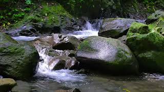 Mountain stream sounds, River water flowing, Forest nature ambiance, Soft white noise