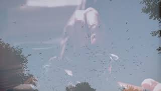 Beard of Bees - Promo - Our Wild America