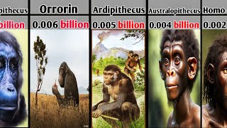 Human Evolution by Timeline Comparison|Human Evolution