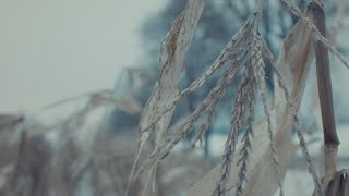 WINTER VIBES | BMPCC OG + MOZA AirCross 2 | 4K