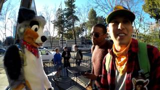 Further Confusion 2017 - FollowingTucker & Friends