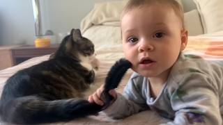 He Grabbed the Cat's Tail — What the Cat Did Next Surprised Everyone