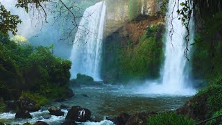 Healing Waterfall Stream & Gentle Breeze | Relaxing Nature Sounds & ASMR Ambience