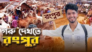 রংপুর থেকে গরু কিনলাম | Dhaka To Rangpur | Cow Market