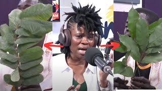 This Leaf is Sika Duro "Pocket No Dry" If You Are Struggling With Money, This Video Is For You.