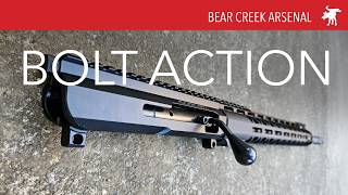 DEMONITIZED Budget Bolt Action AR? BC15 6.5 Grendel Upper