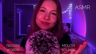 ASMR~1+ HR Clicky Trigger Words, Dry Mouth Sounds, and Inaudible Whispers (Trym's CV)✨