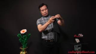 Ảo thuật tay không bắt hoa và chậu hoa tự nở