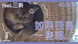 【Gi日常】如果我是一隻貓......｜ feat. 三料