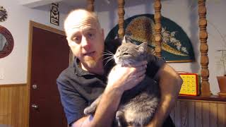 Introducing Rooster: My Friendliest Cat