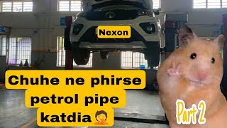 Phirse  Chuhe 🐁 Ne Kardiya Pareshan 🤦 | Chuha Returns 🐀 |  Tips 😉 to Save car 🚗 from Rats 🐭|