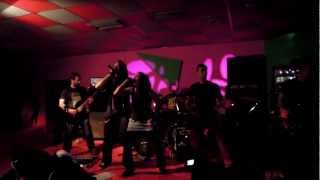 Never Left Behind - Mangifera