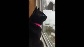 Kiki speaks to the snow