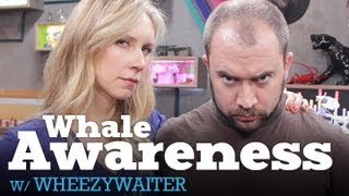 WheezyWaiter Whale Awareness LIVE! - 7/24/12 (Full Ep)