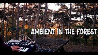 VOLCA Modular & REFACE CP: Soundscape in the Forest