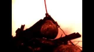 The Austrasian Goat_From chaos we'll rise