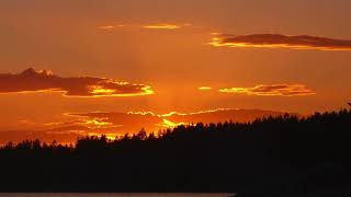 Trauma Cleanse - Guided Meditation