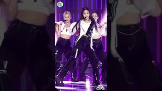 XG  HARVEY - MASCARA  FanCam