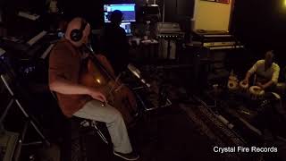 The New Form of the Grail (Human and Plant Music)
