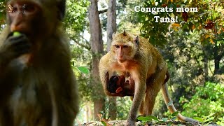 Congratulation mom Tana for giving birth to her 3rd baby today
