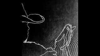 werewolf hair - telephone