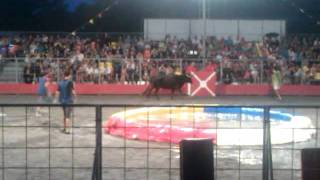 Toro Piscine Part 3 - Get The Bull Between The Posts