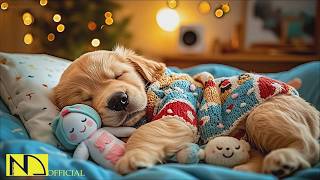 24 Hours Of Dog Calming Music 🐶💖 Healing Dog Sleep Music🧸Relaxation for Dogs ❄️ No Ads