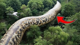 Titanoboa Wasn't The Largest Snake Ever... This Was...