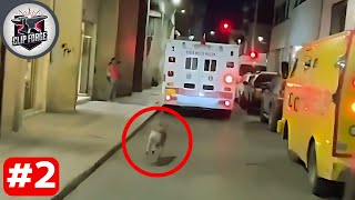 Loyal Dog Chases Ambulance to Stay with His Owner | Best of animals 2