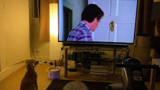 The puppy and the Beethoven movie , this is her favorite  movie ,Part 1