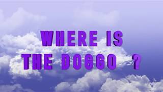 Where's the Doggo??| E82 VIOLET IS MY DOG! |VIOLETS ADVENTURES  funny videos black labrador violet