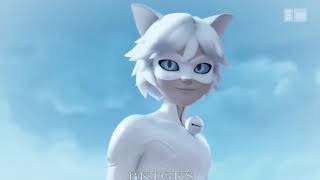 Chat Blanc vs Cat Noir - Miraculous edit