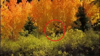 Avintaquin Creek to Reservation Ridge Bigfoot Investigation