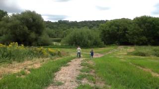 Rasmussen Woods 2015