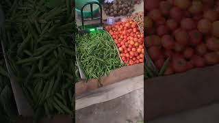 Mini vlog video || Rural life || Viral video || Ruby_kumari